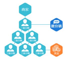 脂老虎下單系統開發案例解析 重慶軟件開發的創新實踐