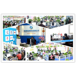 重慶彭水網(wǎng)站建設(shè)與軟件開(kāi)發(fā) 網(wǎng)沃網(wǎng)絡(luò)的綜合服務(wù)優(yōu)勢(shì)